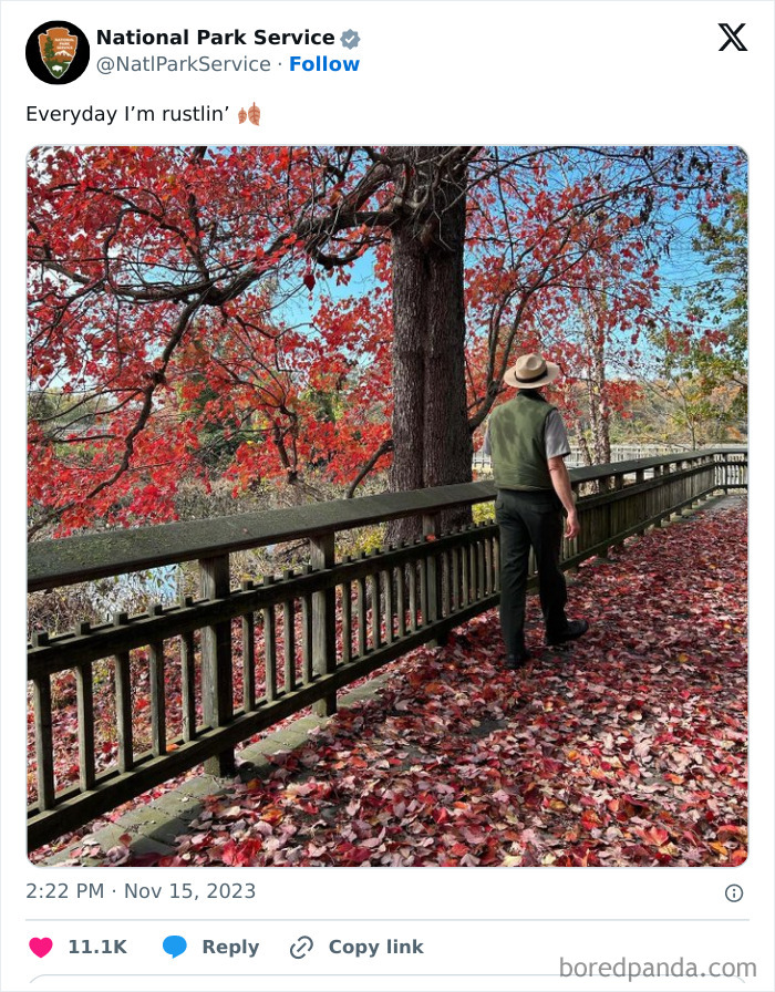 National Park Service ranger walking on a leaf-covered path under vibrant red autumn trees in a national park.