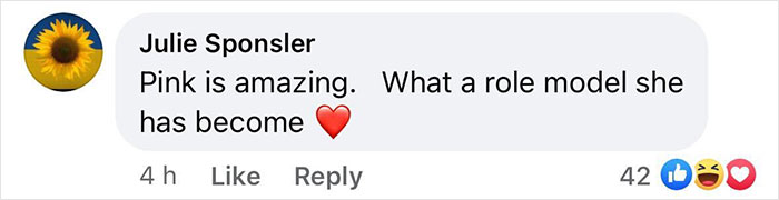 &ldquo;I Am Unwilling To Stand By&rdquo;: Pink Will Give Away Thousands Of Banned Books At Florida Concerts