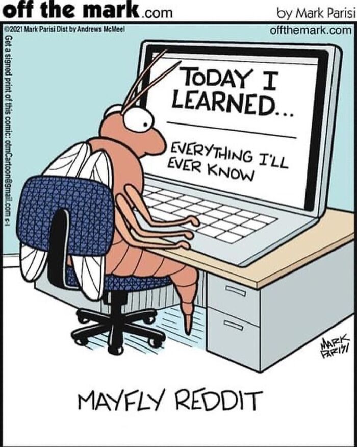 This Artist Used "Internet Searches" As The Theme For His Fun Single-Panel Comics (50 Pics)