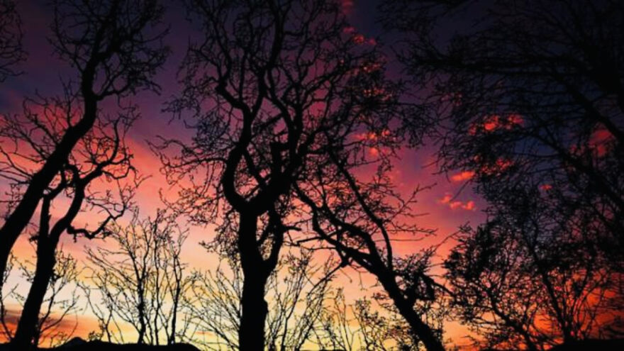 My Phone Photography Tips (33 Pics) My Phone Photography Tips (33 Pics)