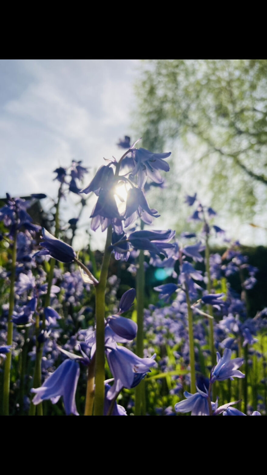 My Phone Photography Tips (33 Pics) My Phone Photography Tips (33 Pics)