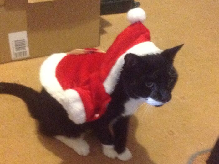 Gusto. Did Not Want To Be A Model