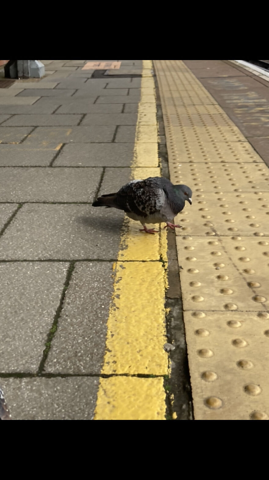 My Phone Photography Tips (33 Pics) My Phone Photography Tips (33 Pics)