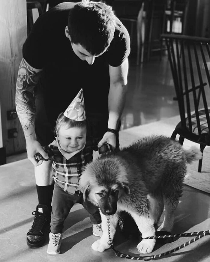 This Family From Boston Shares What It’s Like To Live With A Rare Bear-Like Guardian Dog This Family From Boston Shares What It’s Like To Live With A Rare Bear-Like Guardian Dog