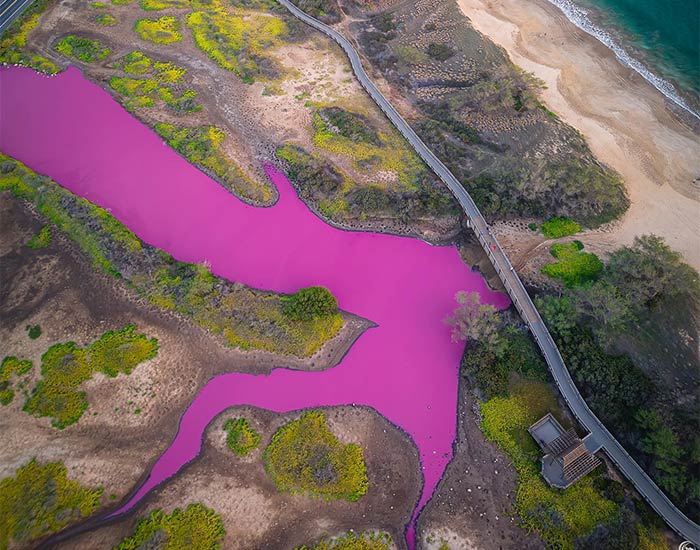 Hawaii Reservation Officials Puzzled By Pond Turning Mysteriously Pink