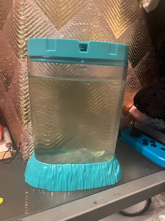 The Dark Truth Behind Childhood Staple Sea Monkeys Emerges Online