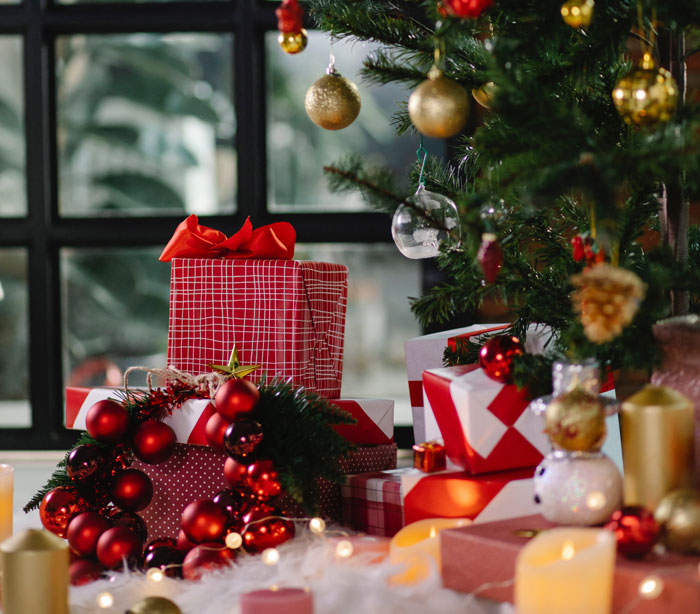 "The Jacket Fitted Me Perfectly": MIL Tries To Body Shame Woman, Regrets It