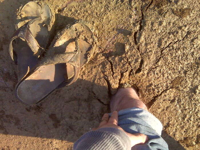 32 “Now-False Facts” That Were Really Taught In Schools, But Did Not Stand The Test Of Time