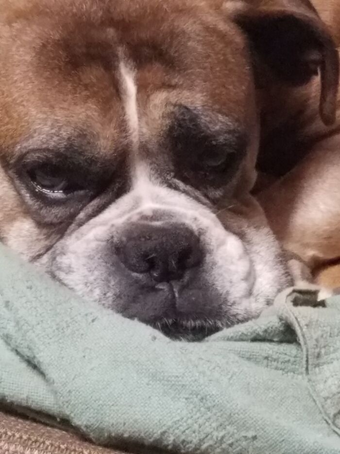 We Miss You, Rocket Man