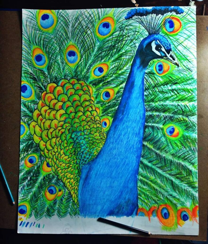 Peacock