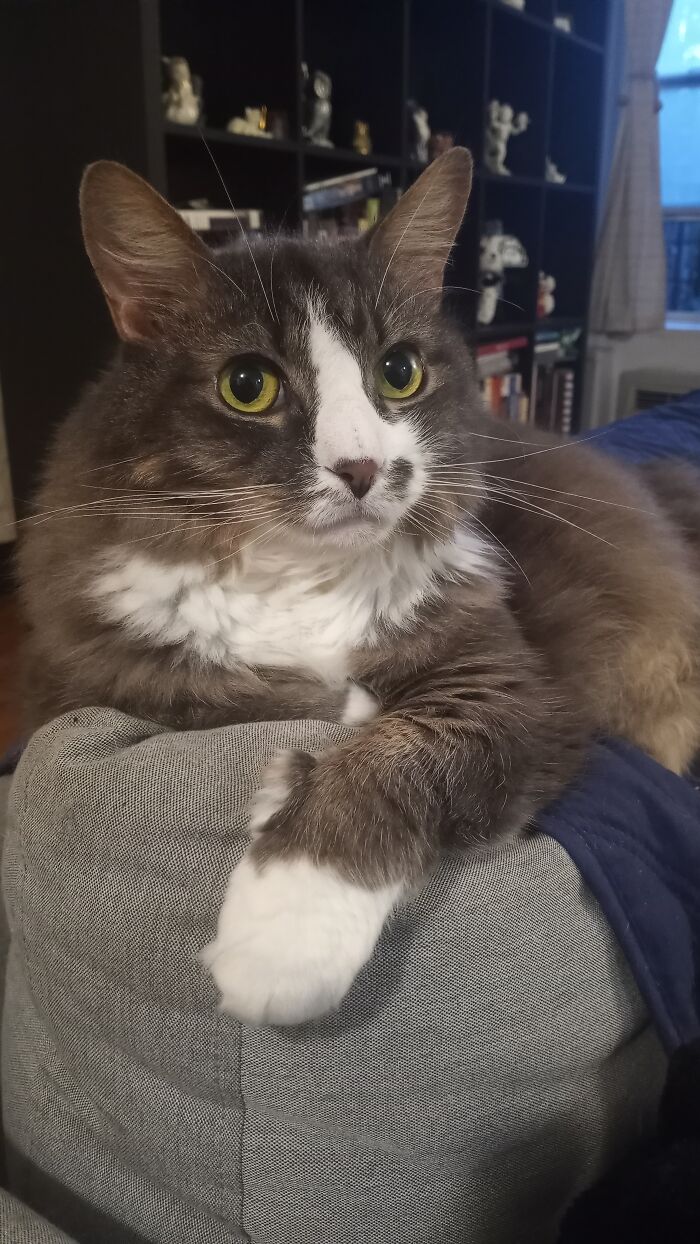 Is It Dinner Time Yet?