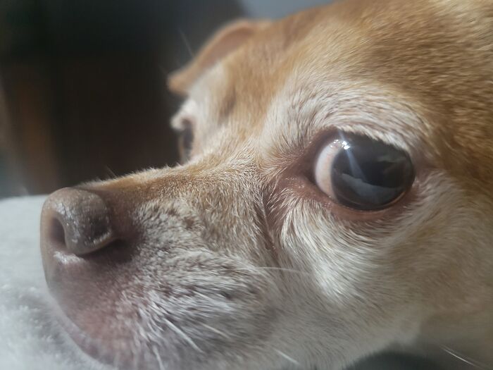 Get Well Soon And Happy Bday From Donut And Buster