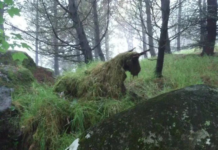Eerie Surrealism In Nature
