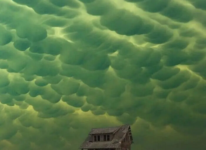 Eerie Surrealism In Nature
