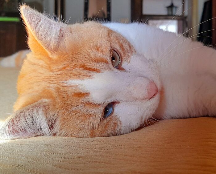 Pepito, Just Being Him