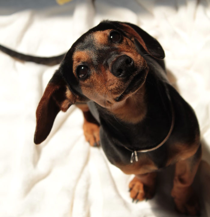 Someone Asks People To Share “Juicy Thanksgiving Drama”, And 50 Deliver