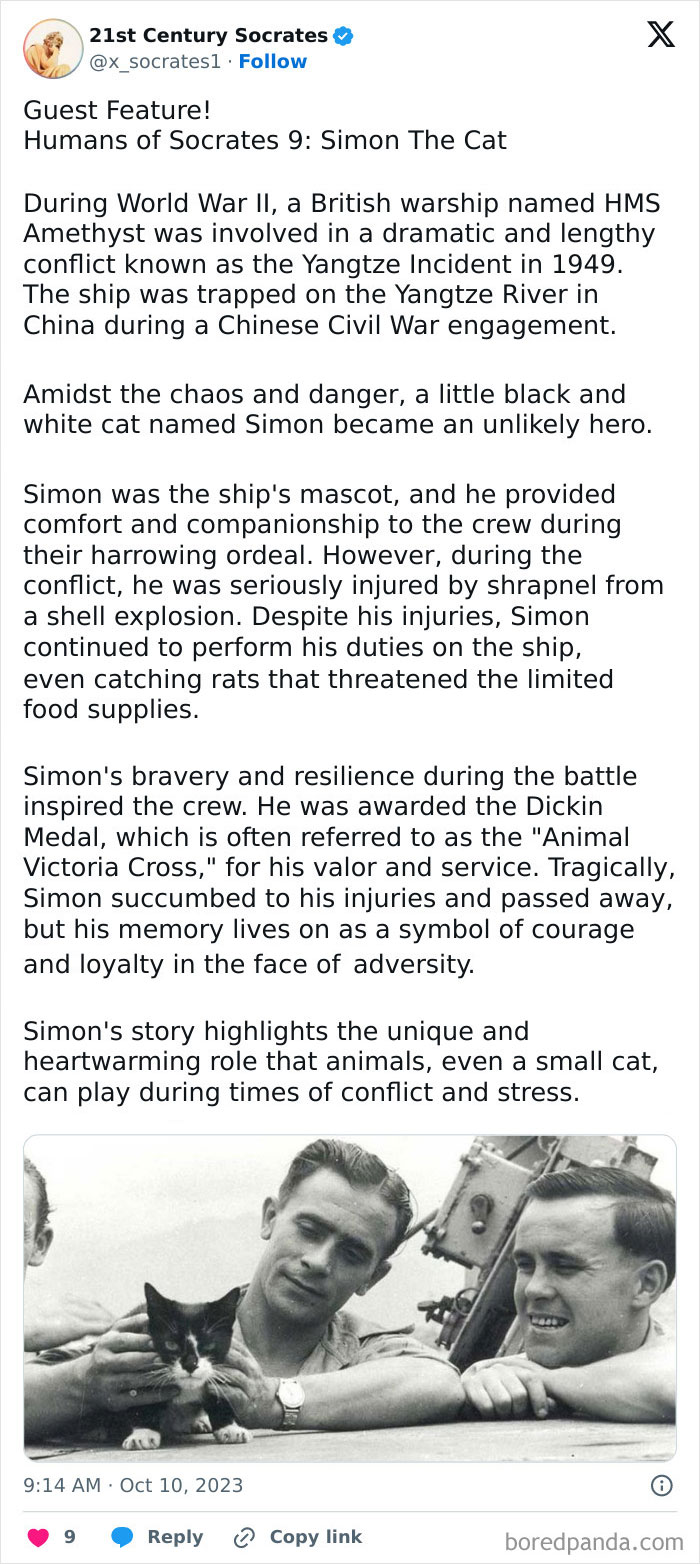 21st-Century-Humans-Of-Socrates-Tweets