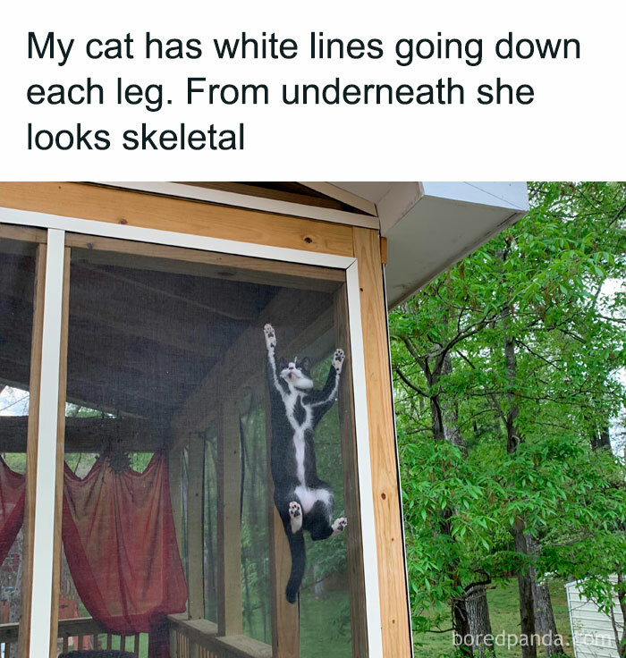 Creepy-Memes-Creepyholics