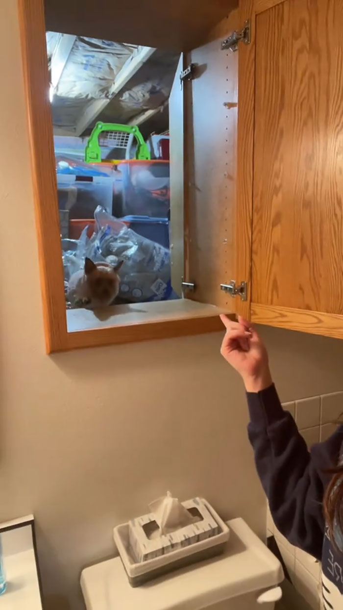 People Urge Woman To Call The Police Upon Discovering Secret Room Painted With Kids&rsquo; Handprints