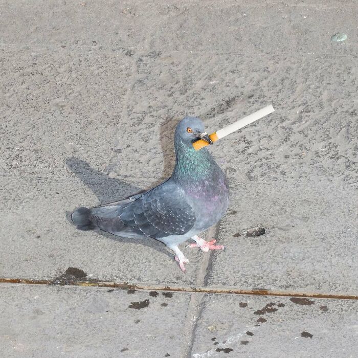 Decisive Moments Magazine Continues To Showcase Fascinating Moments Captured By Street Photographers (50 New Pics)