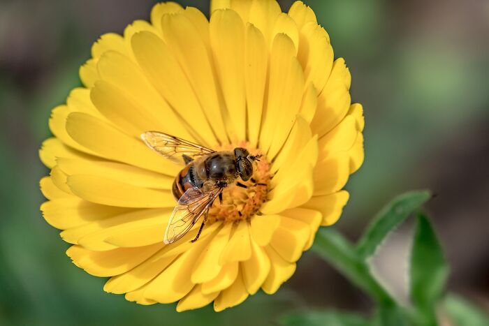 30 Stories From People Who Dealt With A Colleague That Walked Out On A Job In The Most Sudden Way