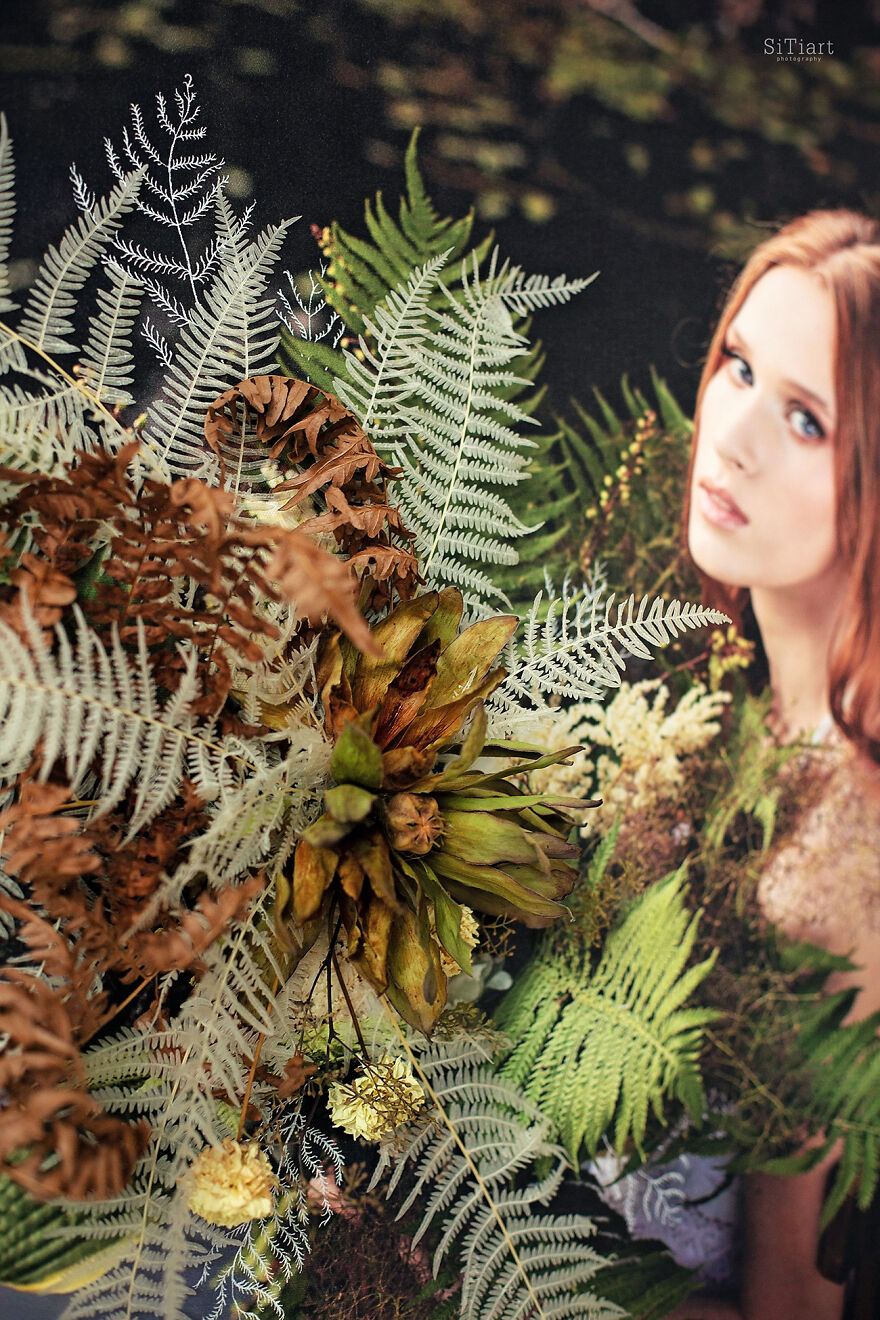 Love Speaks: The Cycle Of 12 Works