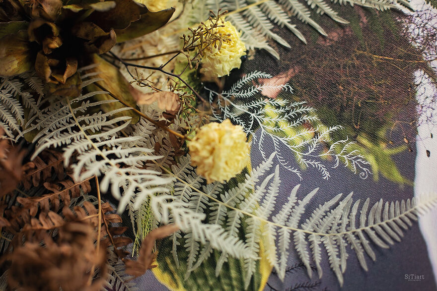 Love Speaks: The Cycle Of 12 Works