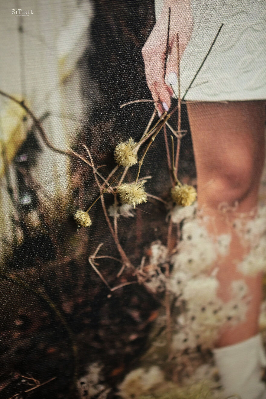 Love Speaks: The Cycle Of 12 Works