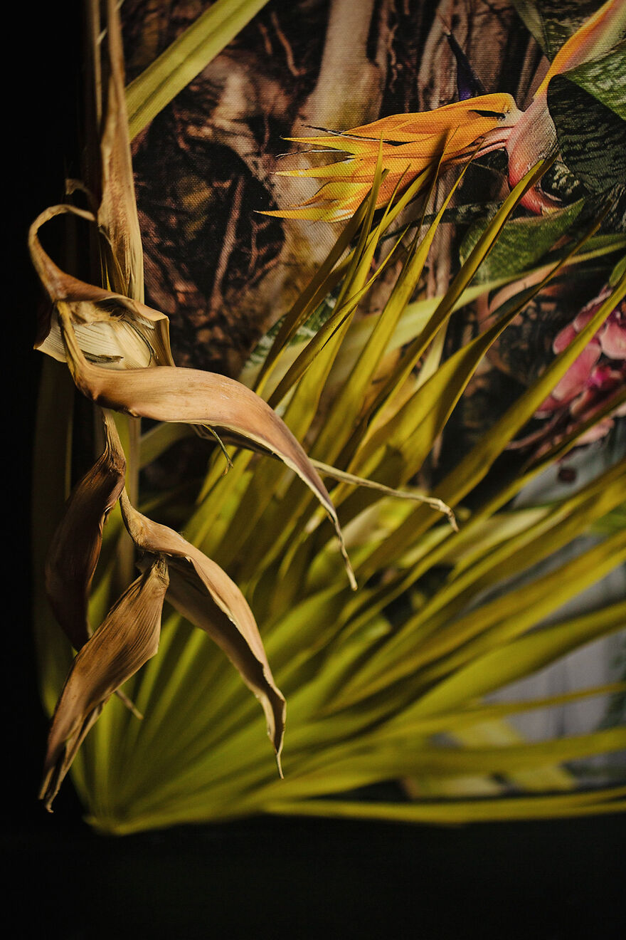 Love Speaks: The Cycle Of 12 Works