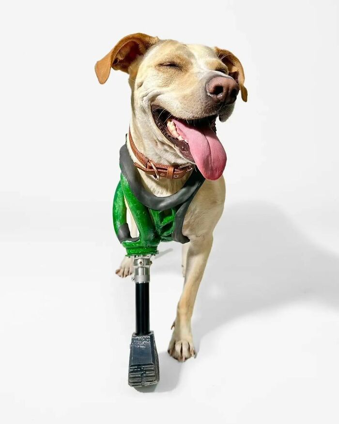 Decisive Moments Magazine Continues To Showcase Fascinating Moments Captured By Street Photographers (50 New Pics)