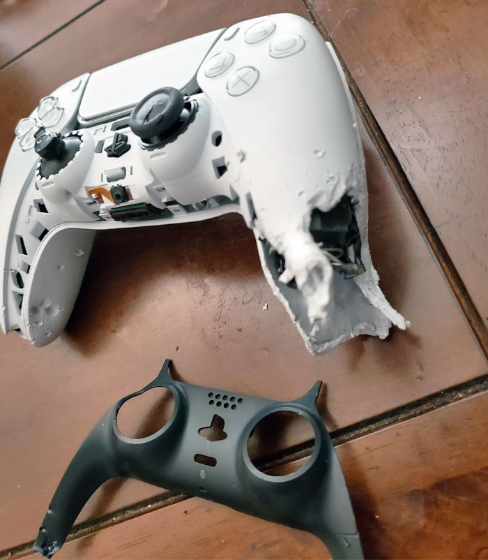 My Puppy Decided That My PS5 Controller Was What He Wanted For Lunch