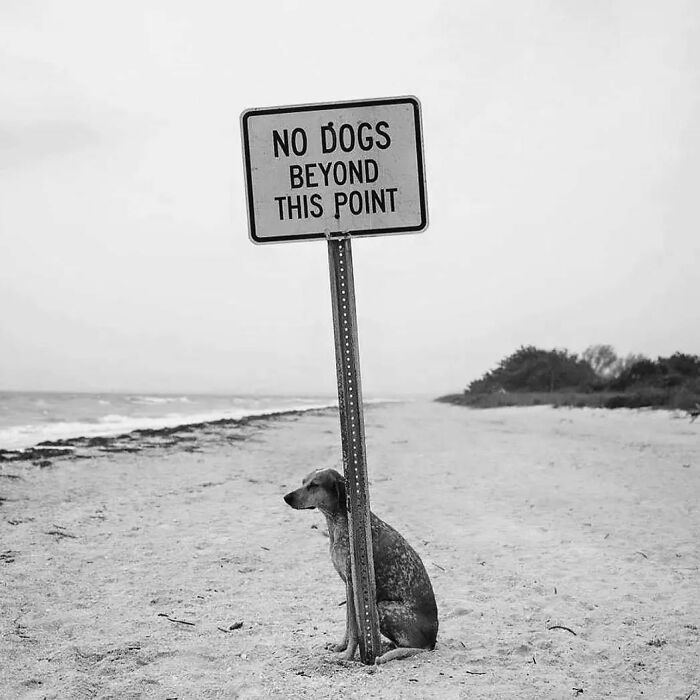 Decisive Moments Magazine Continues To Showcase Fascinating Moments Captured By Street Photographers (50 New Pics)