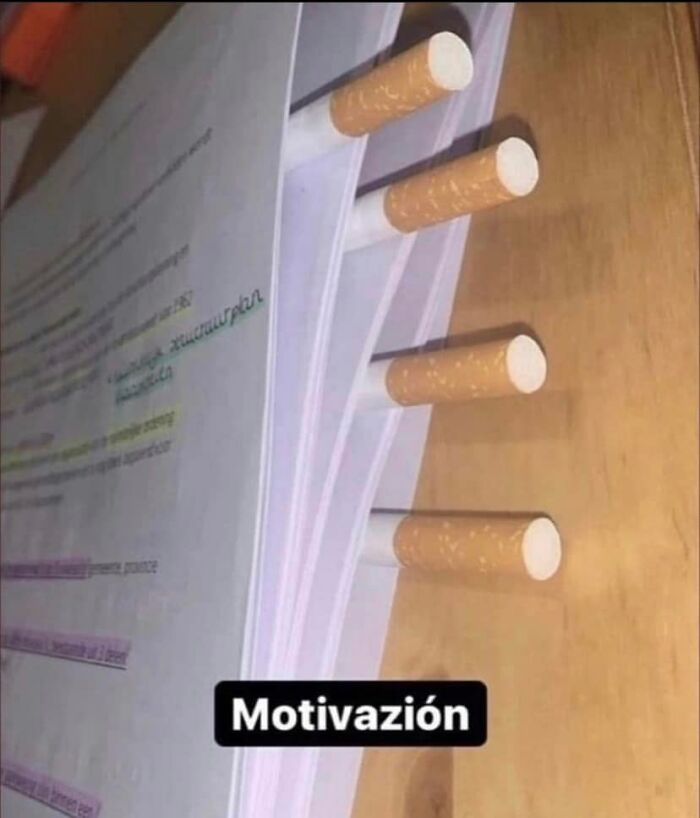 Weird-Cursed-Images-Cursed225