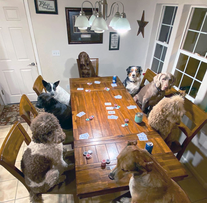 "Coworkers, How Was Your Thanksgiving? Me, Well, We Spent 45 Minutes Trying To Get This Photo, So I'd Say Pretty Great"