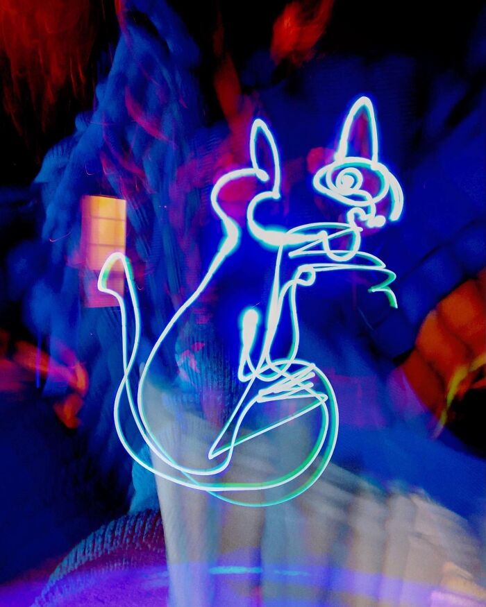 Cat Light Drawing