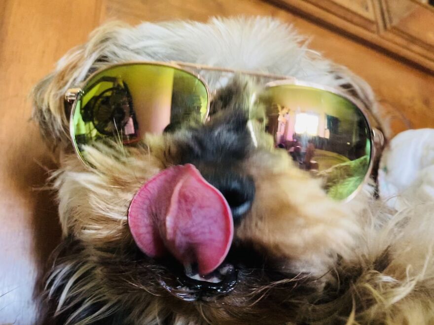 My Phone Photography Tips (33 Pics) My Phone Photography Tips (33 Pics)