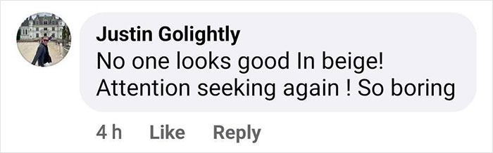 &ldquo;Get Over It&rdquo;: People Defend Christian Wilkins After ARIA Awards See-Through Dress Sparks Outrage