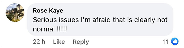 Comment criticizing a woman's inked look and body modification choices.