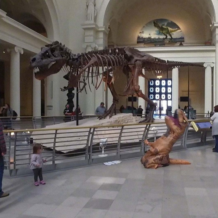 Cringe-Nonsense-Images