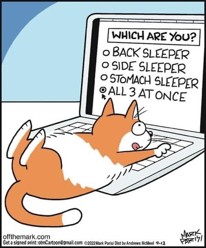 This Artist Used "Internet Searches" As The Theme For His Fun Single-Panel Comics (50 Pics)