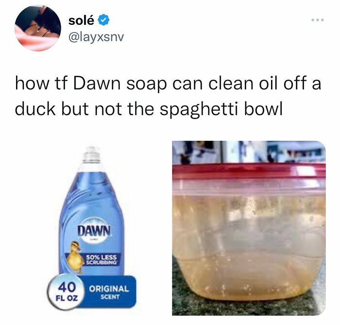 Funny-Random-Memes-Jokes