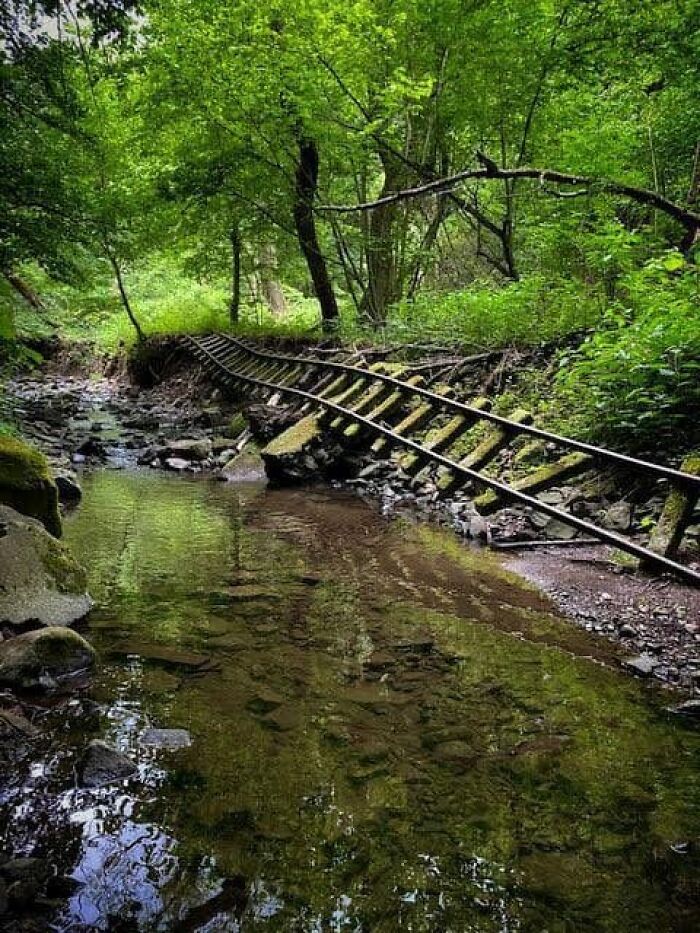 Abandoned Railroad Tracks In Forest