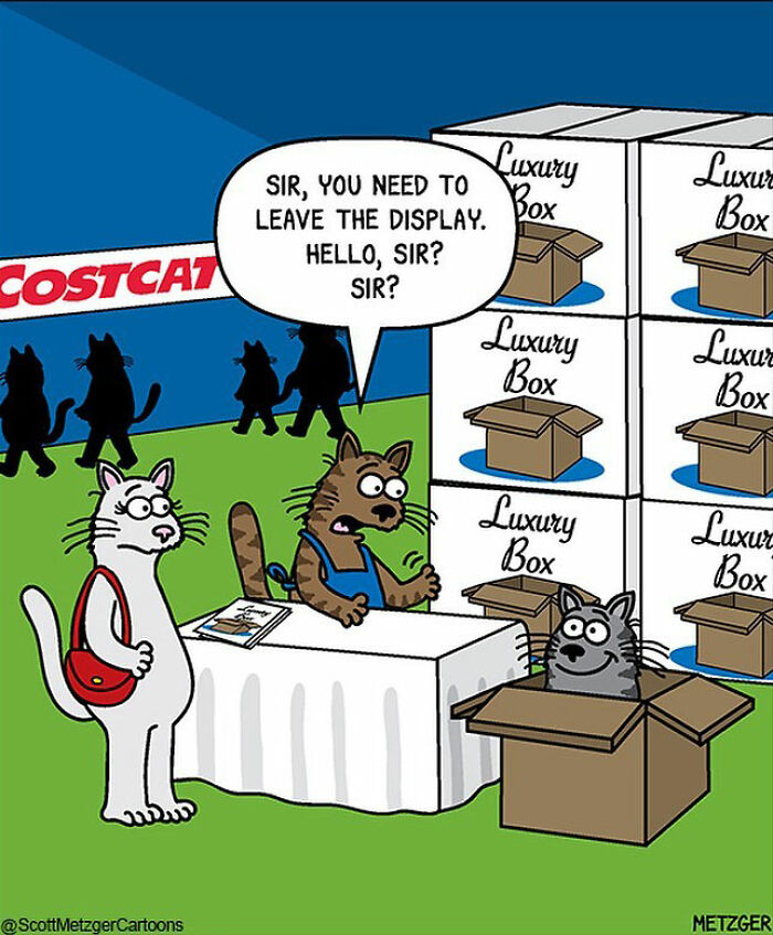 This Man Has Been Creating Cat Drawings For Over 25 Years And Here Are His Newest Ones