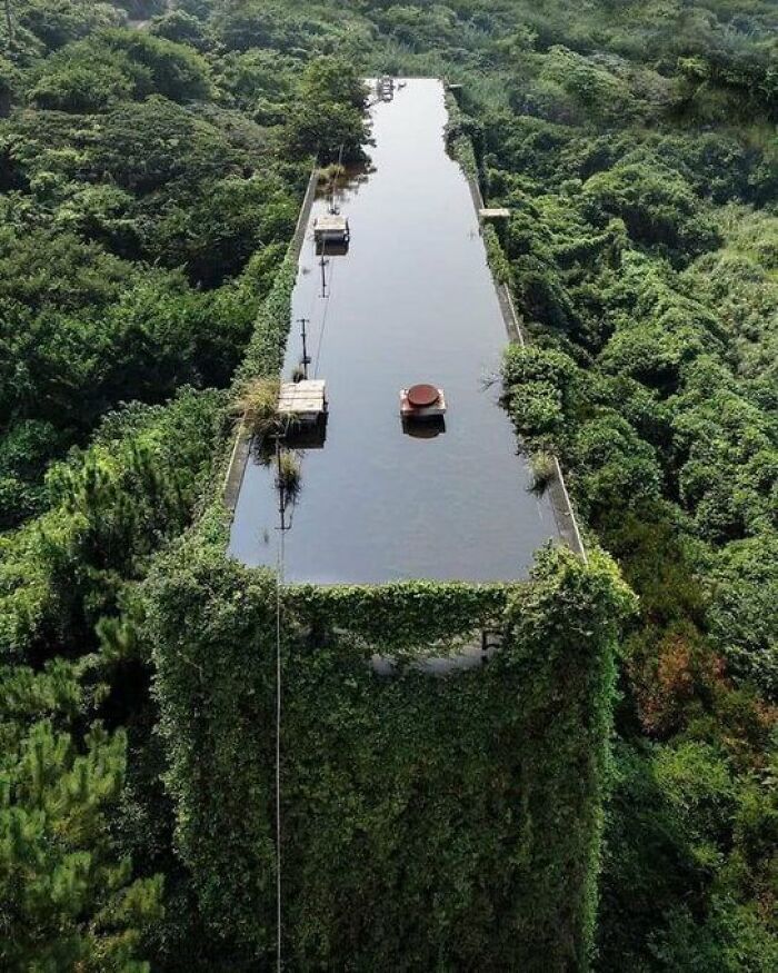 Nature Takes Over This Abandoned Industrial Building But Adds A Rooftop Pool