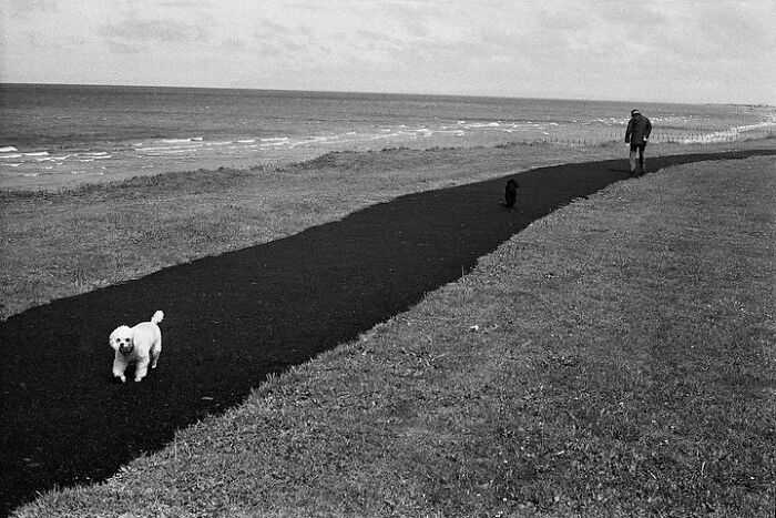 Decisive Moments Magazine Continues To Showcase Fascinating Moments Captured By Street Photographers (50 New Pics)