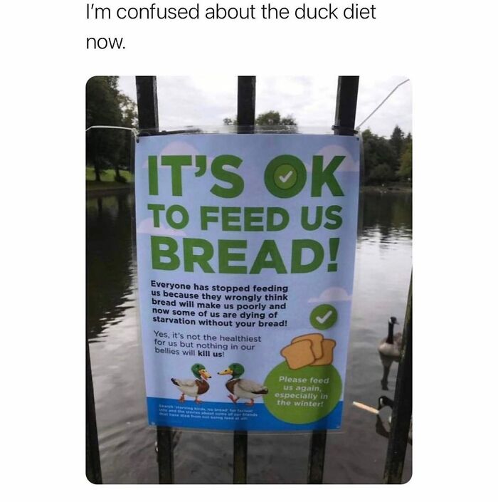 Funny-UK-Memes-Laughssuk