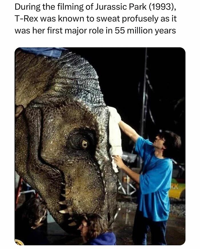 Funny-Random-Memes-Jokes