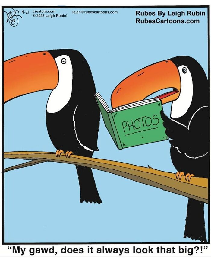 32 New Single-Panel Rubes Cartoons Feature Absurd Situations Will Make You Laugh