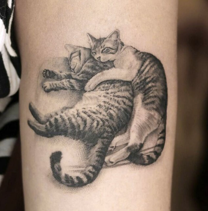 3D tattoo of two realistic cats cuddling on an arm.
