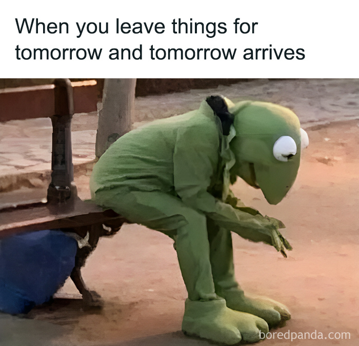 Person in a full-size Kermit the Frog costume sitting on a bench with a sad posture, funny and confusing pic.